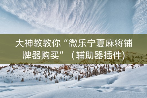 大神教教你“微乐宁夏麻将铺牌器购买”（辅助器插件)