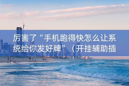 厉害了“手机跑得快怎么让系统给你发好牌”（开挂辅助插件)
