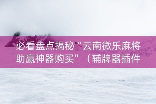 必看盘点揭秘“云南微乐麻将助赢神器购买”（辅牌器插件购买)