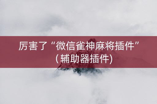 厉害了“微信雀神麻将插件”（辅助器插件)