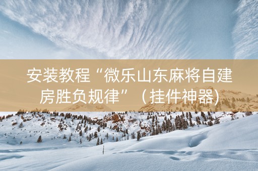 安装教程“微乐山东麻将自建房胜负规律”（挂件神器)