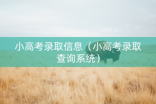 小高考录取信息（小高考录取查询系统）