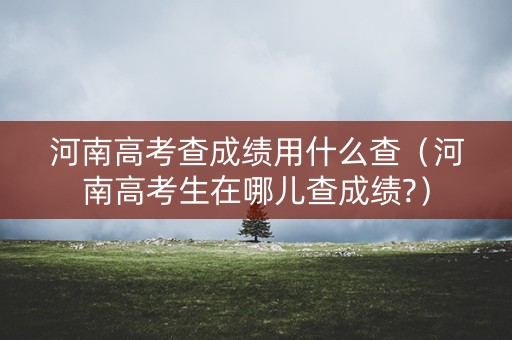 河南高考查成绩用什么查（河南高考生在哪儿查成绩?）
