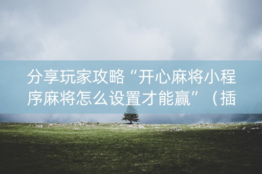 分享玩家攻略“开心麻将小程序麻将怎么设置才能赢”（插件可信吗)
