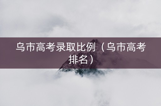 乌市高考录取比例（乌市高考排名）