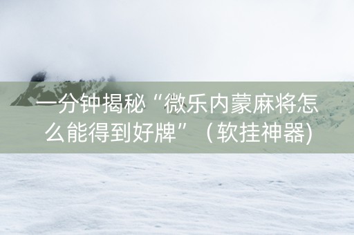 一分钟揭秘“微乐内蒙麻将怎么能得到好牌”（软挂神器)
