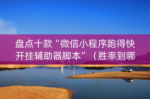 盘点十款“微信小程序跑得快开挂辅助器脚本”（胜率到哪调)