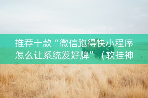 推荐十款“微信跑得快小程序怎么让系统发好牌”（软挂神器)