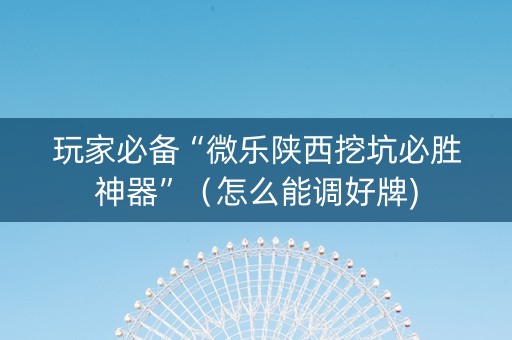 玩家必备“微乐陕西挖坑必胜神器”（怎么能调好牌)