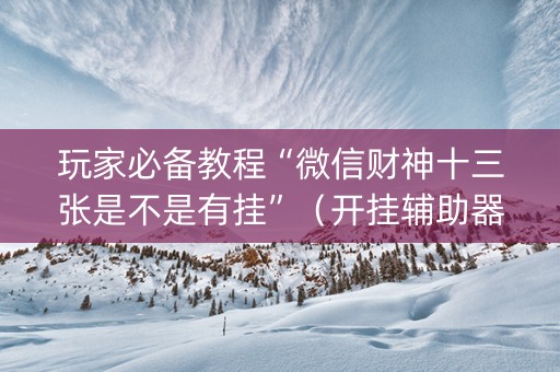 玩家必备教程“微信财神十三张是不是有挂”（开挂辅助器插件)