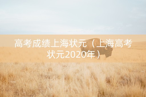 高考成绩上海状元（上海高考状元2020年）