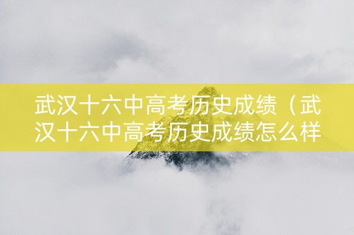 武汉十六中高考历史成绩（武汉十六中高考历史成绩怎么样）