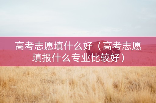 高考志愿填什么好（高考志愿填报什么专业比较好）