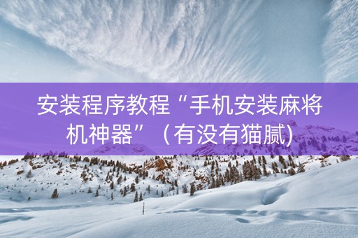安装程序教程“手机安装麻将机神器”（有没有猫腻)
