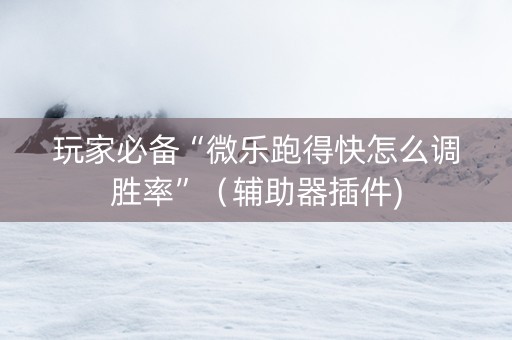 玩家必备“微乐跑得快怎么调胜率”（辅助器插件)