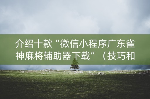 介绍十款“微信小程序广东雀神麻将辅助器下载”（技巧和打好牌方法)