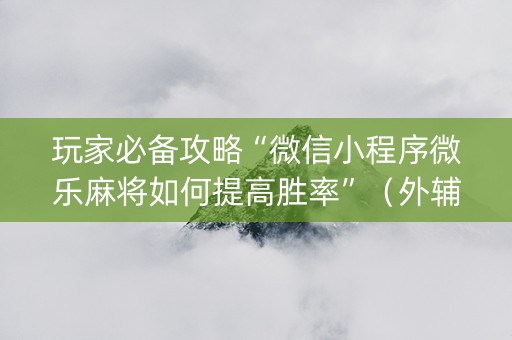 玩家必备攻略“微信小程序微乐麻将如何提高胜率”（外辅工具)