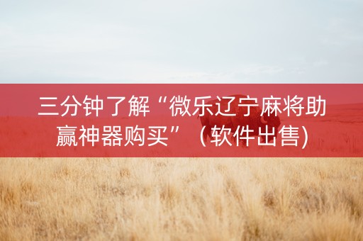 三分钟了解“微乐辽宁麻将助赢神器购买”（软件出售)