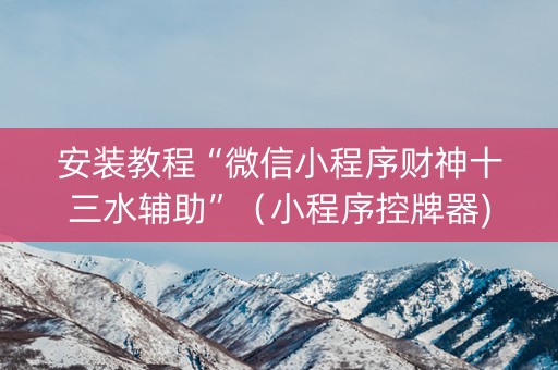 安装教程“微信小程序财神十三水辅助”（小程序控牌器)
