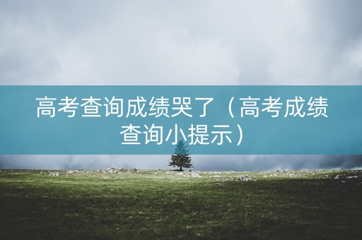 高考查询成绩哭了（高考成绩查询小提示）
