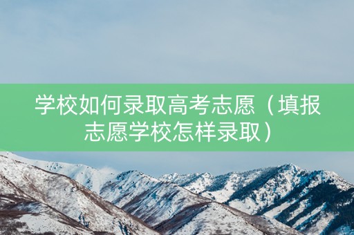 学校如何录取高考志愿（填报志愿学校怎样录取）