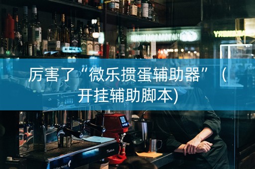 厉害了“微乐掼蛋辅助器”（开挂辅助脚本)