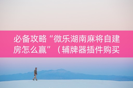必备攻略“微乐湖南麻将自建房怎么赢”（辅牌器插件购买)