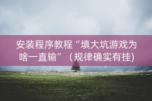 安装程序教程“填大坑游戏为啥一直输”（规律确实有挂)