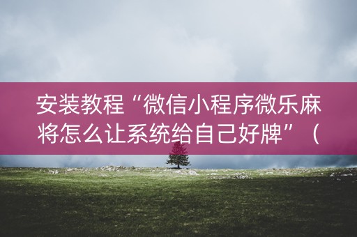 安装教程“微信小程序微乐麻将怎么让系统给自己好牌”（辅牌器插件购买)