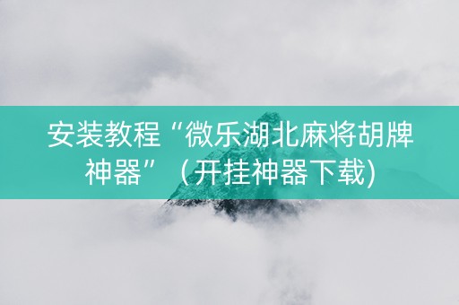安装教程“微乐湖北麻将胡牌神器”（开挂神器下载)