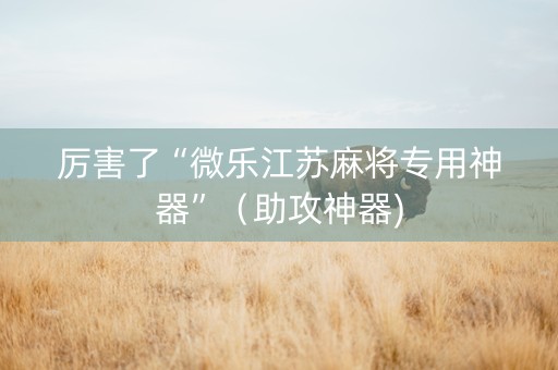 厉害了“微乐江苏麻将专用神器”（助攻神器)