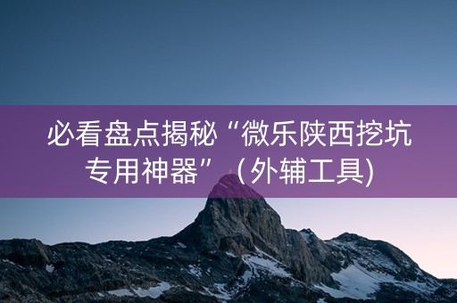 必看盘点揭秘“微乐陕西挖坑专用神器”（外辅工具)