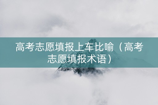 高考志愿填报上车比喻（高考志愿填报术语）