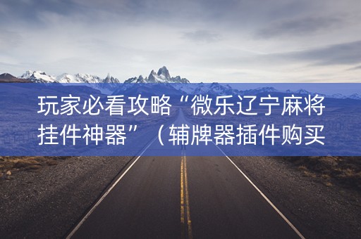玩家必看攻略“微乐辽宁麻将挂件神器”（辅牌器插件购买)