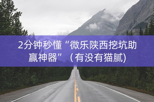 2分钟秒懂“微乐陕西挖坑助赢神器”（有没有猫腻)