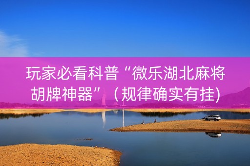 玩家必看科普“微乐湖北麻将胡牌神器”（规律确实有挂)