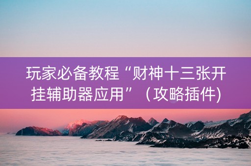 玩家必备教程“财神十三张开挂辅助器应用”（攻略插件)