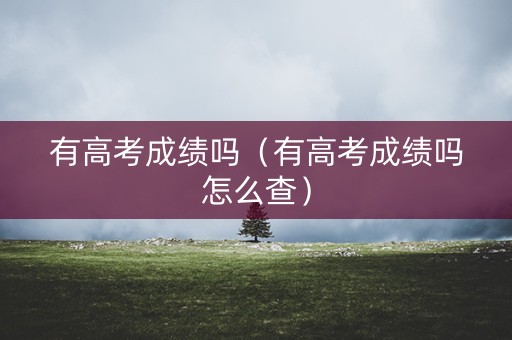 有高考成绩吗（有高考成绩吗怎么查）