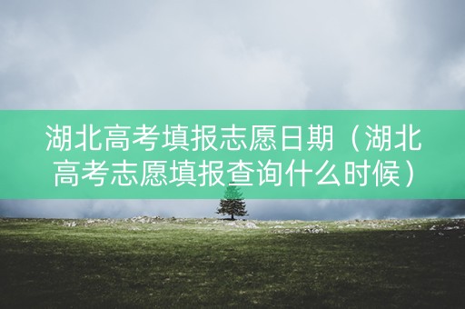 湖北高考填报志愿日期（湖北高考志愿填报查询什么时候）