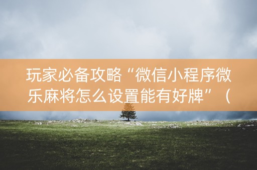 玩家必备攻略“微信小程序微乐麻将怎么设置能有好牌”（辅助器通用版)