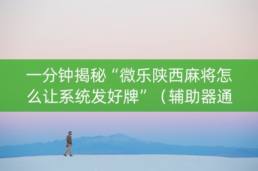 一分钟揭秘“微乐陕西麻将怎么让系统发好牌”（辅助器通用版)