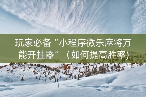 玩家必备“小程序微乐麻将万能开挂器”（如何提高胜率)