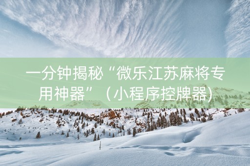一分钟揭秘“微乐江苏麻将专用神器”（小程序控牌器)