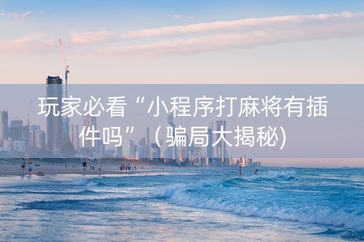 玩家必看“小程序打麻将有插件吗”（骗局大揭秘)