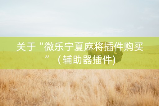关于“微乐宁夏麻将插件购买”（辅助器插件)