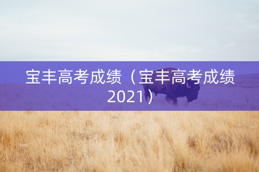 宝丰高考成绩（宝丰高考成绩2021）
