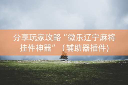 分享玩家攻略“微乐辽宁麻将挂件神器”（辅助器插件)