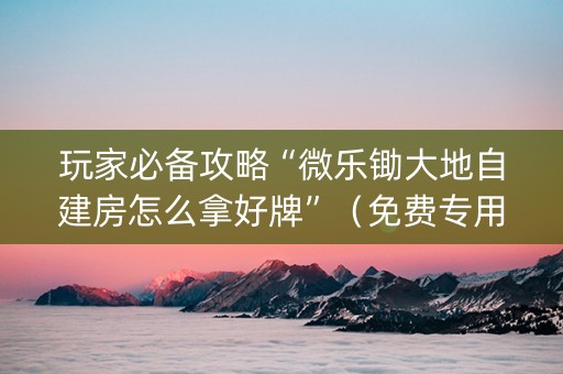 玩家必备攻略“微乐锄大地自建房怎么拿好牌”（免费专用神器)