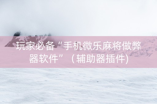 玩家必备“手机微乐麻将做弊器软件”（辅助器插件)