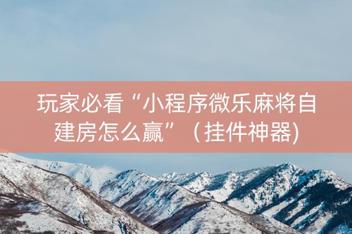 玩家必看“小程序微乐麻将自建房怎么赢”（挂件神器)